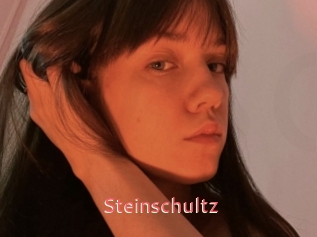 Steinschultz