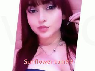 Sunflower_cam99