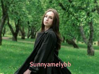 Sunnyamelybb