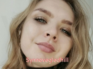 Synnovegledhill