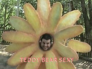 TEDDY_BEAR_SEXY