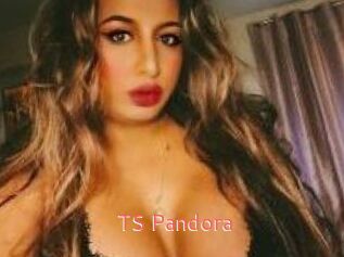 TS_Pandora
