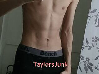 TaylorsJunk