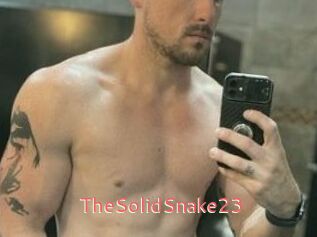 TheSolidSnake23
