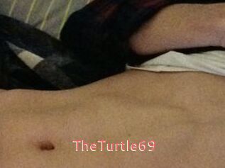 TheTurtle69