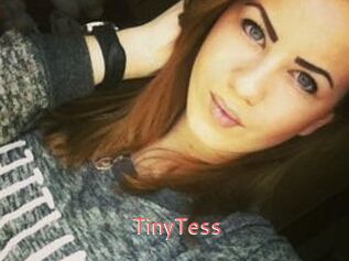 TinyTess