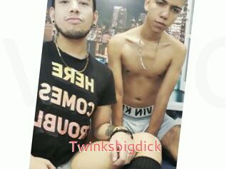 Twinksbigdick