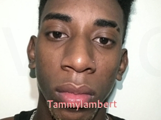Tammylambert