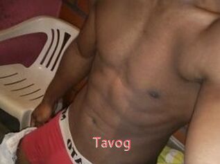 Tavog