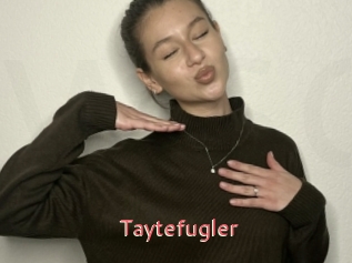 Taytefugler