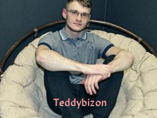 Teddybizon