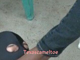 Texascameltoe