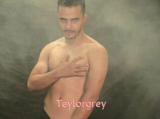 Teylorgrey