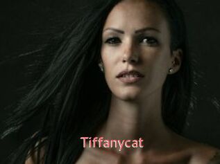 Tiffanycat