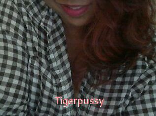 Tigerpussy