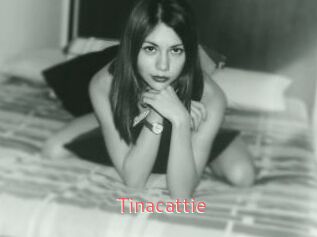 Tinacattie