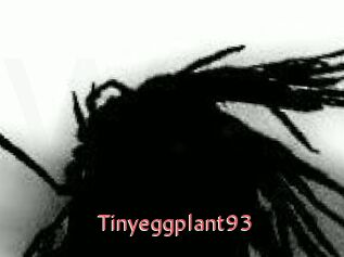 Tinyeggplant93