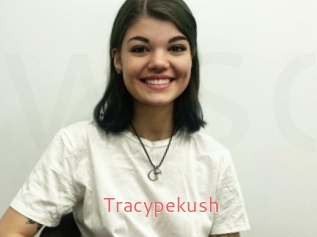 Tracypekush