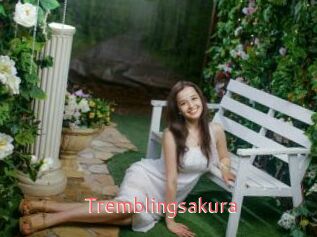 Tremblingsakura