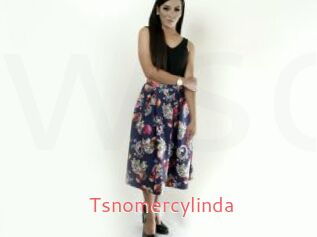 Tsnomercylinda