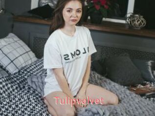 Tulipvelvet
