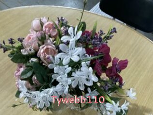 tywebb110 Webcam Sexe Direct