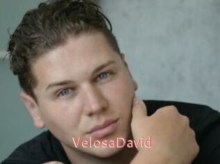 VelosaDavid
