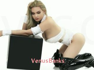 VenusBanks
