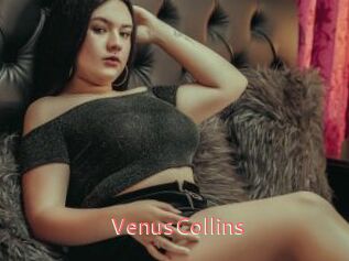 VenusCollins