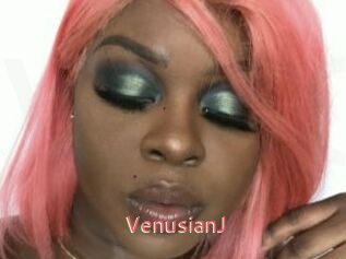 VenusianJ