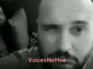 VoicesNoHue