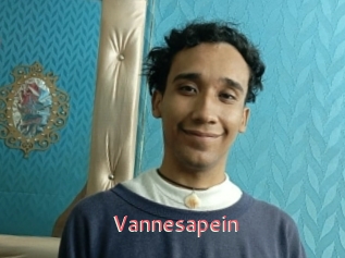 Vannesapein