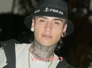 Vectorx073