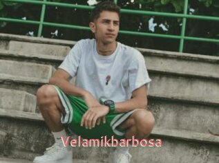 Velamikbarbosa