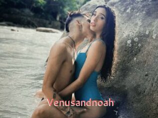 Venusandnoah