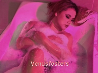 Venusfosters