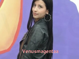 Venusmagentaa