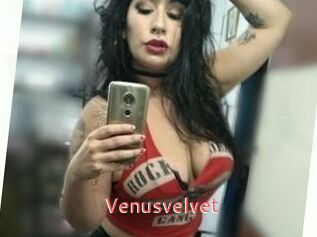 Venusvelvet