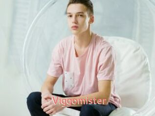 Viggomister