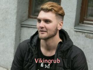 Vikingrub