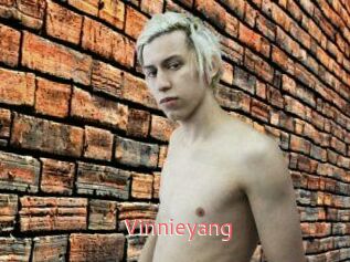 Vinnieyang