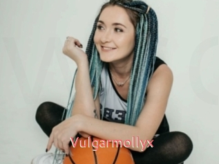 Vulgarmollyx