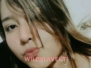 WILDSLAVEKTI