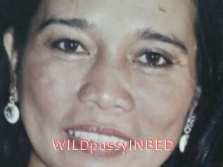 WILDpussyINBED