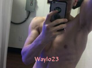 Waylo23
