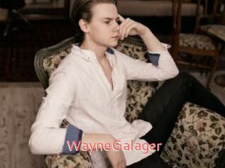 WayneGalager