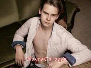 WayneGallager