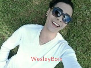 Wesley_Boix