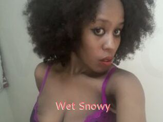 Wet_Snowy