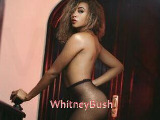 WhitneyBush